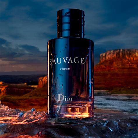 cena dior sauvage|sauvage Dior perfume price.